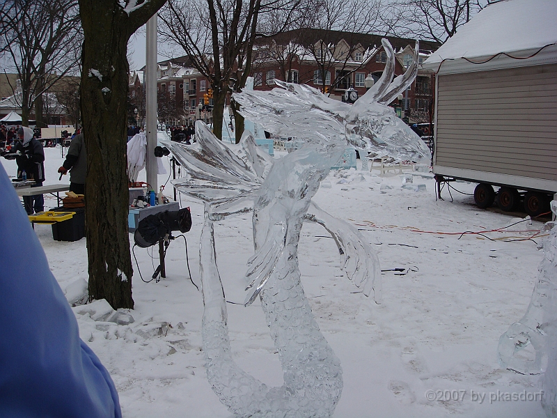 054 Plymouth Ice Show [2008 Jan 26].JPG - Scenes from the Plymouth, Michigan Annual Ice Show.